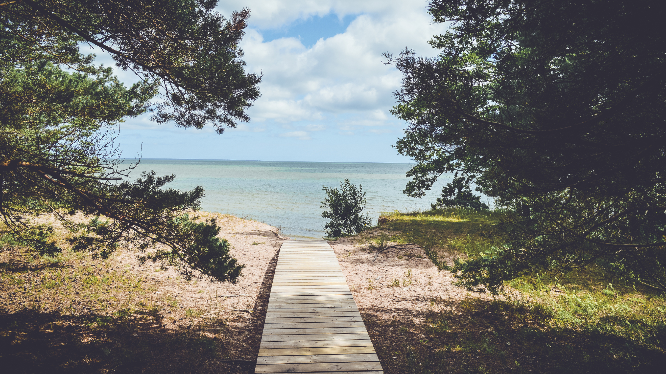 A wooden path leading down to the sea